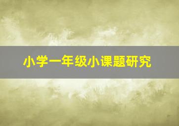 小学一年级小课题研究