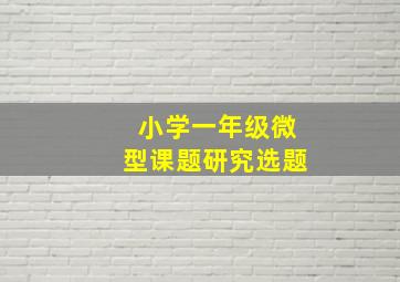 小学一年级微型课题研究选题