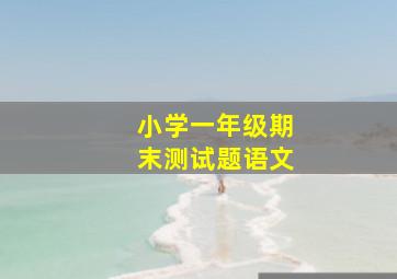 小学一年级期末测试题语文