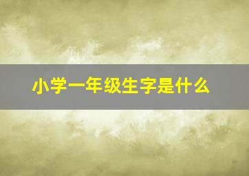 小学一年级生字是什么