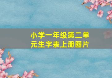 小学一年级第二单元生字表上册图片