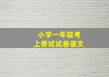 小学一年级考上册试试卷语文