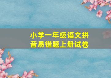 小学一年级语文拼音易错题上册试卷