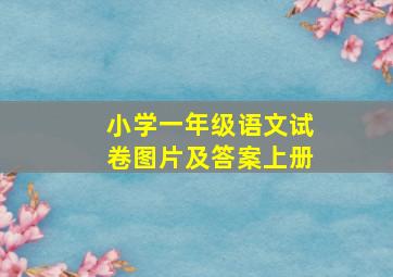 小学一年级语文试卷图片及答案上册