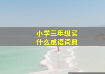 小学三年级买什么成语词典