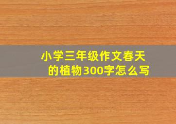 小学三年级作文春天的植物300字怎么写