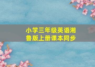 小学三年级英语湘鲁版上册课本同步