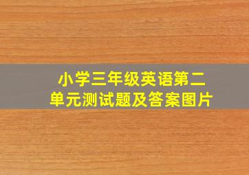 小学三年级英语第二单元测试题及答案图片