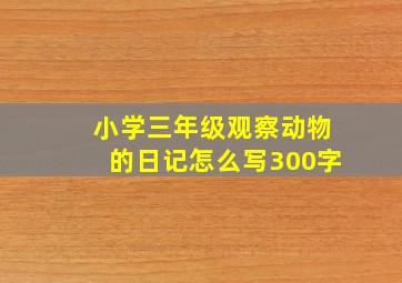 小学三年级观察动物的日记怎么写300字