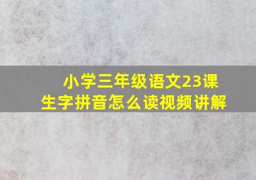 小学三年级语文23课生字拼音怎么读视频讲解