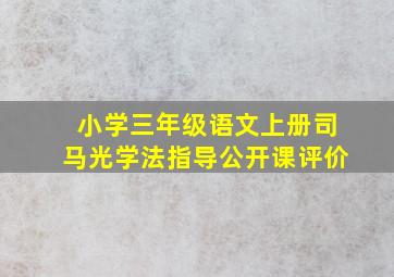 小学三年级语文上册司马光学法指导公开课评价