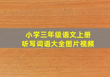 小学三年级语文上册听写词语大全图片视频