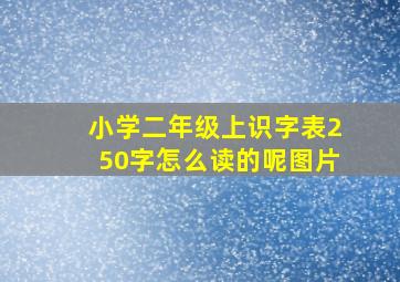 小学二年级上识字表250字怎么读的呢图片