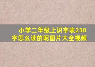 小学二年级上识字表250字怎么读的呢图片大全视频