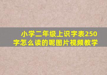 小学二年级上识字表250字怎么读的呢图片视频教学