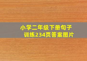 小学二年级下册句子训练234页答案图片