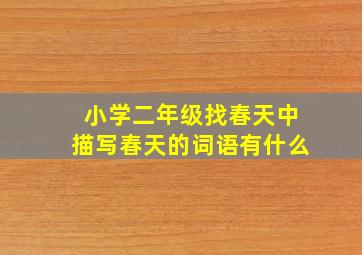 小学二年级找春天中描写春天的词语有什么