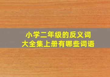 小学二年级的反义词大全集上册有哪些词语