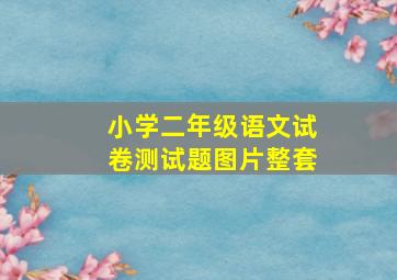 小学二年级语文试卷测试题图片整套