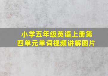 小学五年级英语上册第四单元单词视频讲解图片