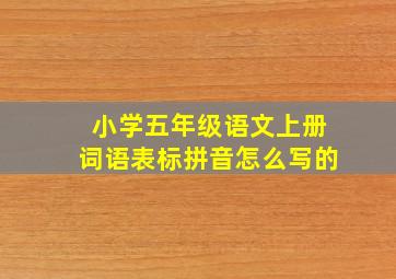 小学五年级语文上册词语表标拼音怎么写的