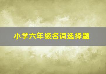 小学六年级名词选择题