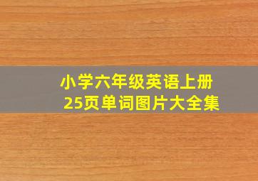 小学六年级英语上册25页单词图片大全集