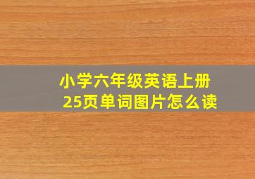 小学六年级英语上册25页单词图片怎么读