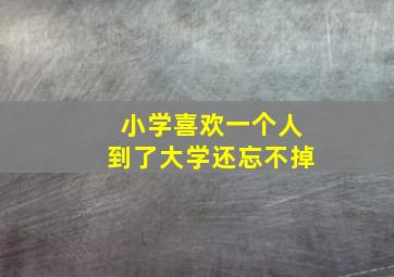 小学喜欢一个人到了大学还忘不掉