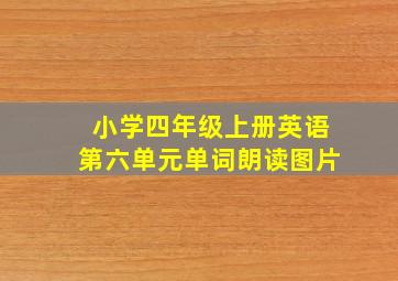 小学四年级上册英语第六单元单词朗读图片