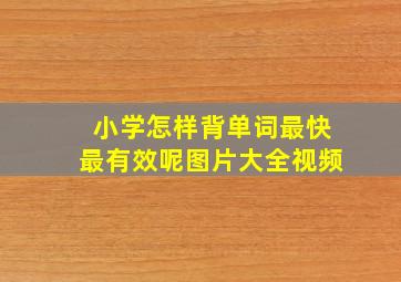 小学怎样背单词最快最有效呢图片大全视频