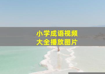 小学成语视频大全播放图片