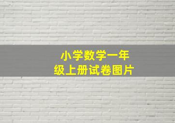 小学数学一年级上册试卷图片