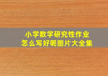 小学数学研究性作业怎么写好呢图片大全集