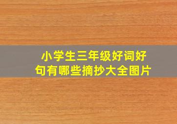 小学生三年级好词好句有哪些摘抄大全图片