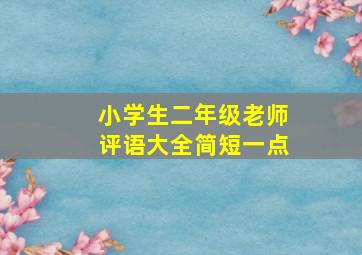 小学生二年级老师评语大全简短一点