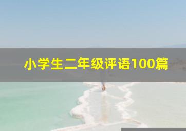 小学生二年级评语100篇