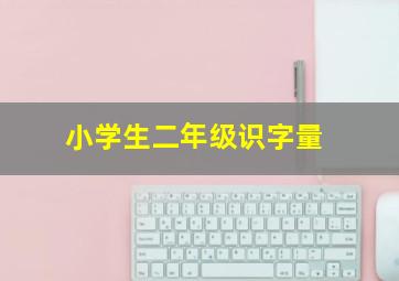 小学生二年级识字量