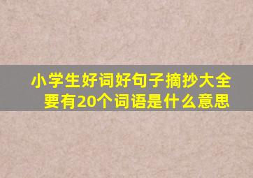 小学生好词好句子摘抄大全要有20个词语是什么意思