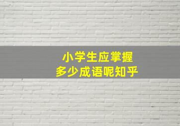 小学生应掌握多少成语呢知乎