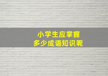 小学生应掌握多少成语知识呢