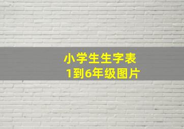 小学生生字表1到6年级图片