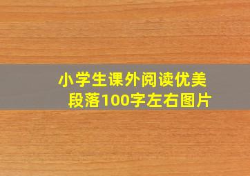 小学生课外阅读优美段落100字左右图片