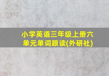 小学英语三年级上册六单元单词跟读(外研社)