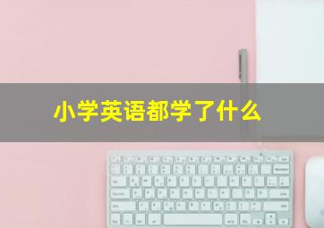 小学英语都学了什么