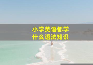 小学英语都学什么语法知识