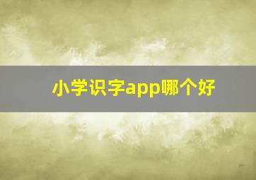 小学识字app哪个好