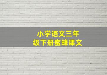 小学语文三年级下册蜜蜂课文