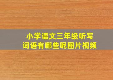 小学语文三年级听写词语有哪些呢图片视频