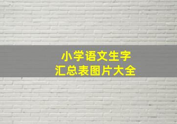 小学语文生字汇总表图片大全